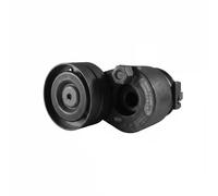 Dayco Tenditore cinghia automatico APV2498 – Cinghia Poly-V per Clio, Scenic, Megane II