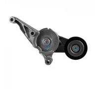 Dayco APV2501 Tendicinghia, Cinghia Poly-V