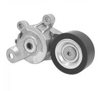 DAYCO APV2524 Tenditore cinghia servizi