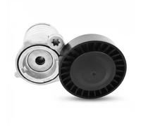 DAYCO APV2552 Tenditore cinghia servizi