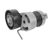 Dayco Tendicinghia multirighe APV2628 per BMW 3 Compact, Touring, X3, Coupé