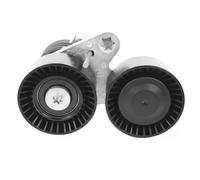 Tendicinghia, cinghia a V DAYCO DAYAPV2674