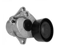 DAYCO APV2982 Tenditore cinghia servizi