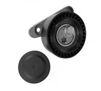 DAYCO APV3036 Tenditore cinghia servizi