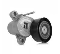 DAYCO APV3170 Tenditore cinghia servizi