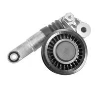 DAYCO APV3213 Tenditore cinghia servizi