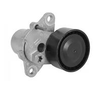 Tendicinghia multirighe APV3605 DAYCO per AUDI SEAT VW SKODA CUPRA