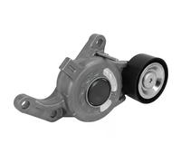 DAYCO APV3860 Tenditore cinghia servizi