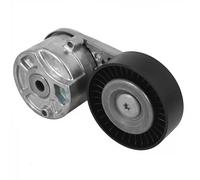 DAYCO APV4163 Tenditore cinghia servizi