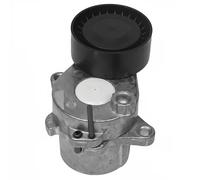 DAYCO APV4175 Tenditore cinghia servizi