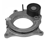 Dayco Tenditore cinghia Poly-V APV4177 per BMW 1 (F20), 2 Active Tourer, X2, X3, 5 Gran Tourer