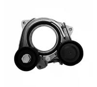 DAYCO APV4269 Tenditore cinghia servizi