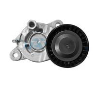 DAYCO APV4439 Tenditore cinghia servizi