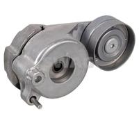 Tendicinghia multirighe Automatico 10 92 7527 SWAG per MERCEDES-BENZ CLASSE G