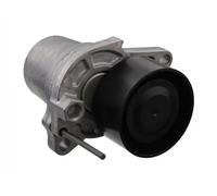 Tendicinghia multirighe Automatico 100188 FEBI BILSTEIN per RENAULT NISSAN