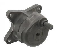 FEBI BILSTEIN 14545 Tenditore cinghia servizi