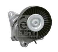 Tendicinghia multirighe Automatico 15875 FEBI BILSTEIN per MERCEDES-BENZ