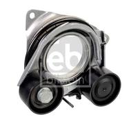 FEBI BILSTEIN 175906 Tenditore cinghia servizi