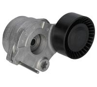 Tendicinghia multirighe Automatico 181314 FEBI BILSTEIN per AUDI VW