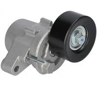 FEBI BILSTEIN 182317 Tenditore cinghia servizi