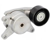 Tendicinghia multirighe Automatico 186273 FEBI BILSTEIN per HYUNDAI KIA