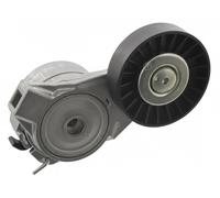 FEBI BILSTEIN 19484 Tenditore cinghia servizi