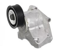 Tendicinghia multirighe Automatico 21779 FEBI BILSTEIN per FORD FOCUS I