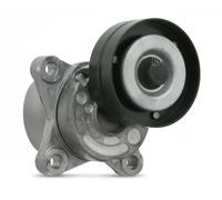 FEBI BILSTEIN 23556 Tenditore cinghia servizi