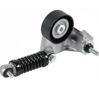 Tendicinghia multirighe Automatico 24429 FEBI BILSTEIN per JAGUAR FORD