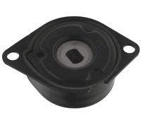 E3W0004BTA Tendicinghia, Cinghia Poly-V (MARCA BTA)..