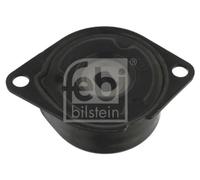 Tendicinghia multirighe Automatico 26925 FEBI BILSTEIN per VW SEAT AUDI FORD