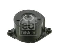 Tendicinghia multirighe Automatico 27373 FEBI BILSTEIN per BMW 3 Coupé 3 X5 X3 5