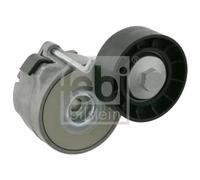 Febi-Bilstein 27480 - Tendicinghia, Cinghia Poly-V