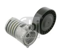 Tendicinghia multirighe Automatico 27567 FEBI BILSTEIN per VOLVO FORD