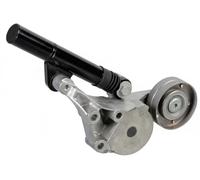 Tendicinghia multirighe Automatico 30 92 1690 SWAG per AUDI SEAT VW SKODA
