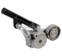 Tendicinghia multirighe Automatico 30 92 1690 SWAG per AUDI SEAT VW SKODA