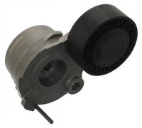 SWAG Autoteile - Tendicinghia 30 94 3750 multirighe automatico per Audi VW
