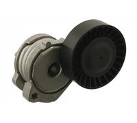 Ferdinand Bilstein Tendicinghia multirighe automatico 30146 per Ford Volvo