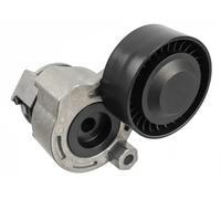 Tendicinghia multirighe Automatico 30159 FEBI BILSTEIN per RENAULT DACIA NISSAN