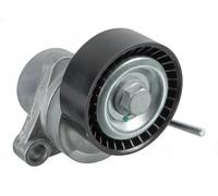 Tendicinghia multirighe Automatico 31076 FEBI BILSTEIN per PEUGEOT CITROËN