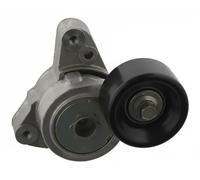 FEBI BILSTEIN 31255 Tenditore cinghia servizi