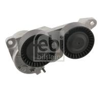 FEBI BILSTEIN 31359 Tenditore cinghia servizi Tendicinghia cinghia Poly-V