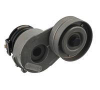Tendicinghia multirighe Automatico 31973 FEBI BILSTEIN per OPEL CORSA C ASTRA H