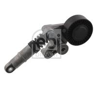 Tendicinghia multirighe Automatico 33152 FEBI BILSTEIN per AUDI A4 B7 A8 D3 Q7