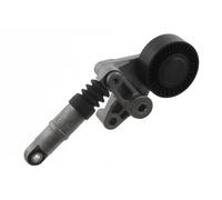 Tendicinghia multirighe Automatico 33152 FEBI BILSTEIN per AUDI A4 B7 A8 D3 Q7