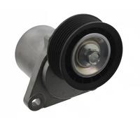 FEBI BILSTEIN 33355 Tenditore cinghia servizi