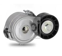 FEBI BILSTEIN Tendicinghia multirighe automatico 36660 per Peugeot Citroën