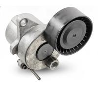 Tendicinghia multirighe Automatico 38468 FEBI BILSTEIN per MERCEDES-BENZ CLS SLK