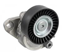 Tendicinghia multirighe Automatico 40446 FEBI BILSTEIN per MERCEDES-BENZ CLS CLK