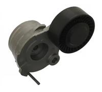 FEBI BILSTEIN 43750 Tendicinghia, Cinghia Poly-V per AUDI,VW